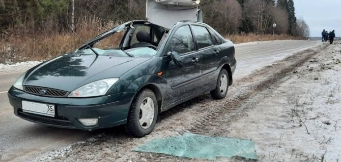 Два человека пострадали в ДТП с лосем в Грязовецком районе Вологодской области