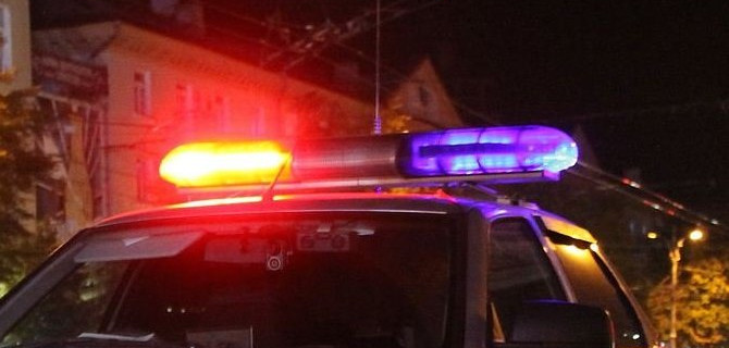 В Ленинградской области автомобиль врезался в столб – водитель погиб