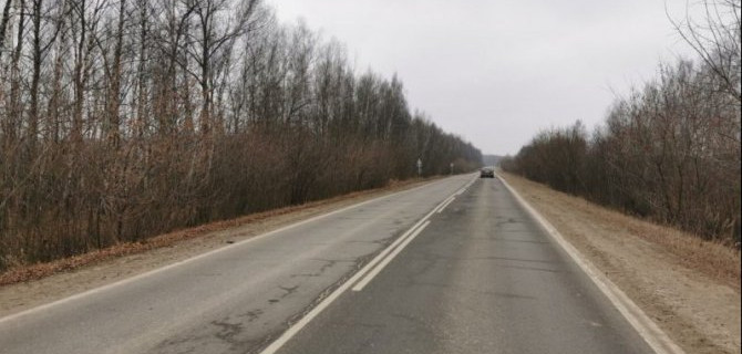 В Одоевском районе Тульской области иномарка насмерть сбила женщину