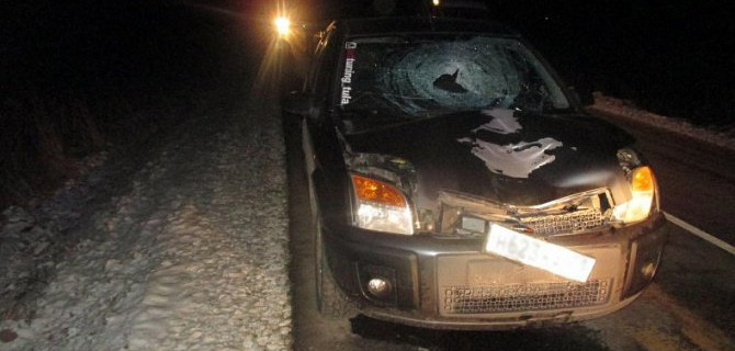 Под Тулой насмерть сбили женщину