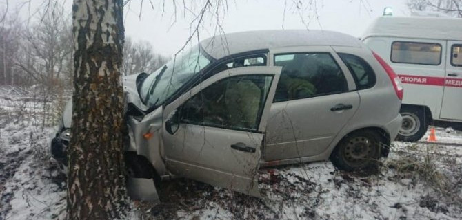 В ДТП в Тверской области пострадали две женщины