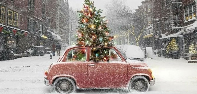 Как правильно перевозить ёлку: советы автомобилистам