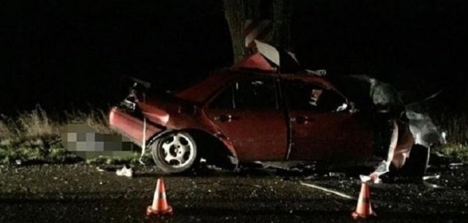 Под Правдинском иномарка врезалась в дерево – водитель погиб