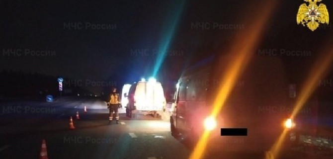 Под Калугой микроавтобус насмерть задавил лежащего человека