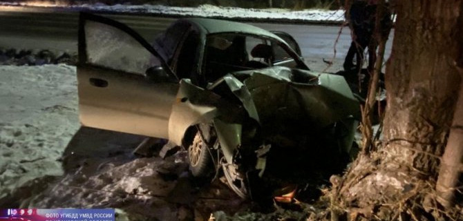 В Ивановской области иномарка врезалась в дерево – погибли двое