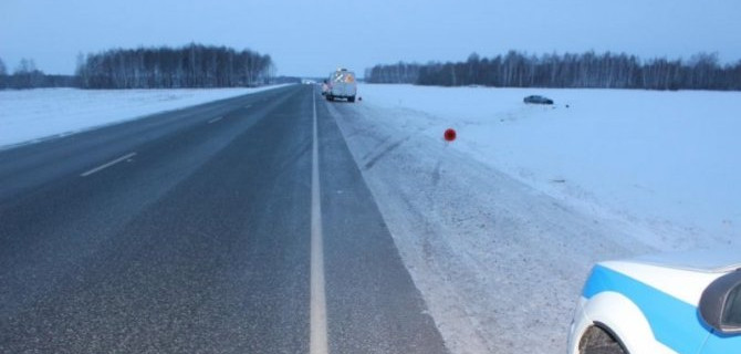 Лиса стала причиной смертельного ДТП в Тюменской области