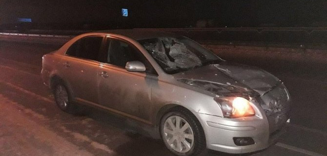 В ДТП в Медведевском районе Марий Эл насмерть сбили пешехода