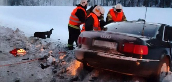 В ДТП в Карелии погиб водитель
