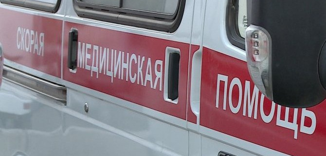 Два человека пострадали в ДТП с лосем в Тульской области