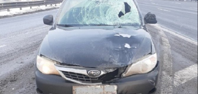 На КАД в Петербурге сбили дорожного рабочего