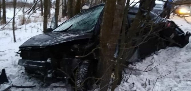 Иномарка врезалась в дерево на трассе Новая Ладога – Зуево