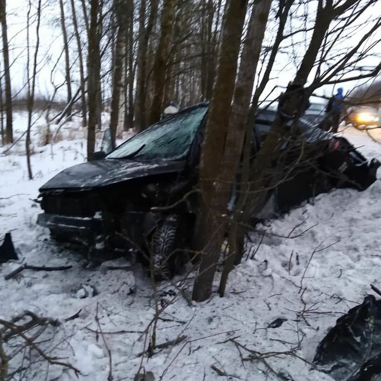 Иномарка врезалась в дерево на трассе Новая Ладога – Зуево (1)