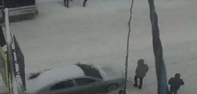 Такие нежданчики живут не только в Рязани