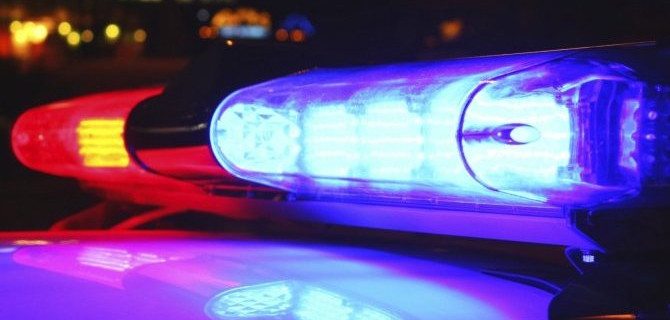 В Пушкине иномарка сломала дерево