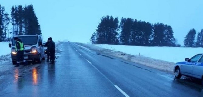 В Малмыжском районе Кировской области пострадала пассажирка автомобиля «Рено Траффик»