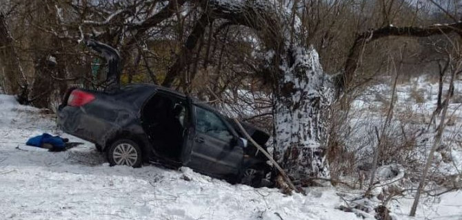В ДТП в Шимском районе погиб 8-летний мальчик
