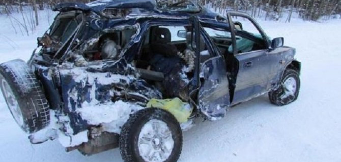 Пассажирка иномарки погибла в ДТП с самосвалом в Костромской области